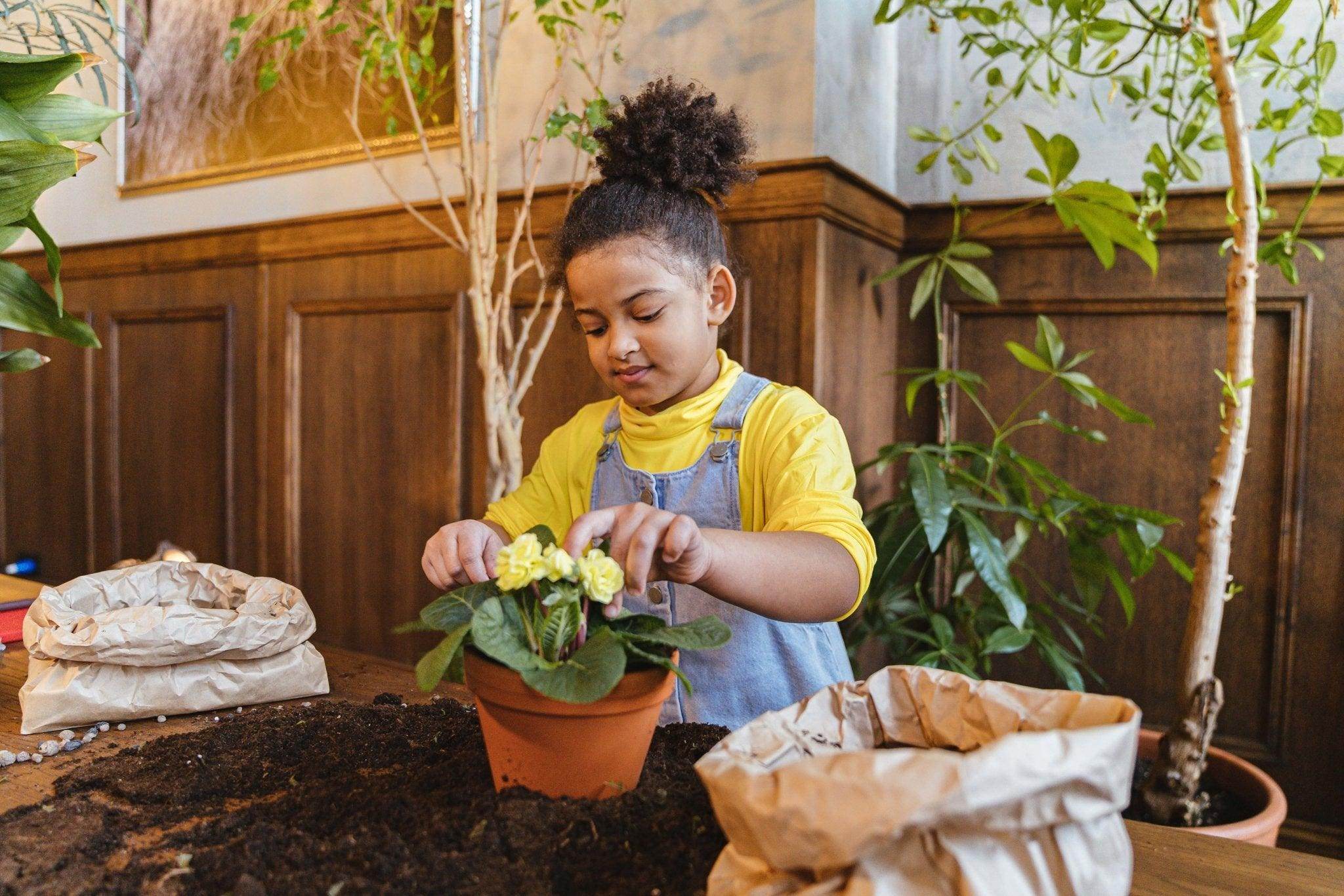 Teaching children about sustainability: why you should do it and 6 interesting ways to get started - LEFT-HANDESIGN®