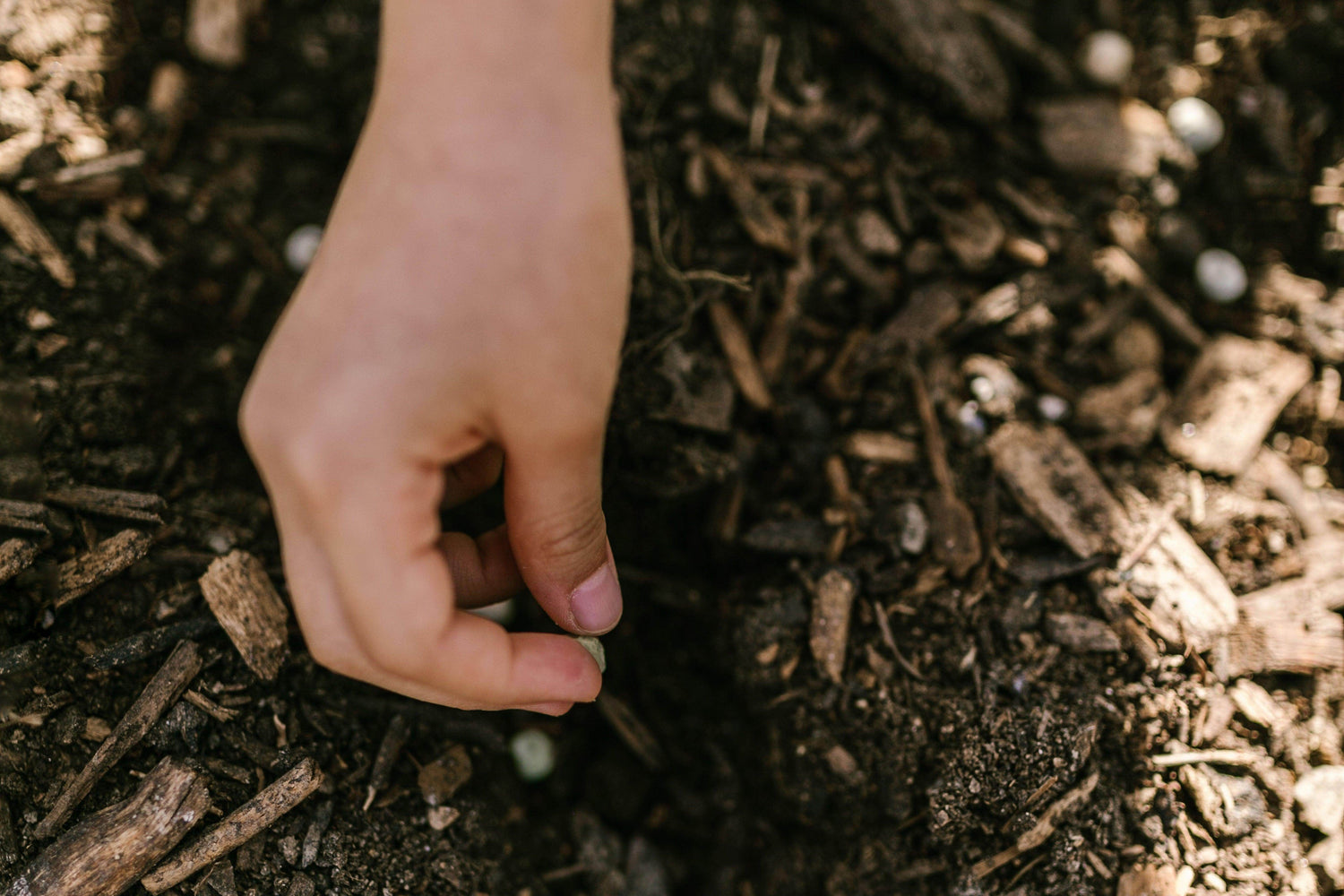 Left-handesign: A Journey Towards Carbon Neutrality and Why It Matters - LEFT-HANDESIGN®