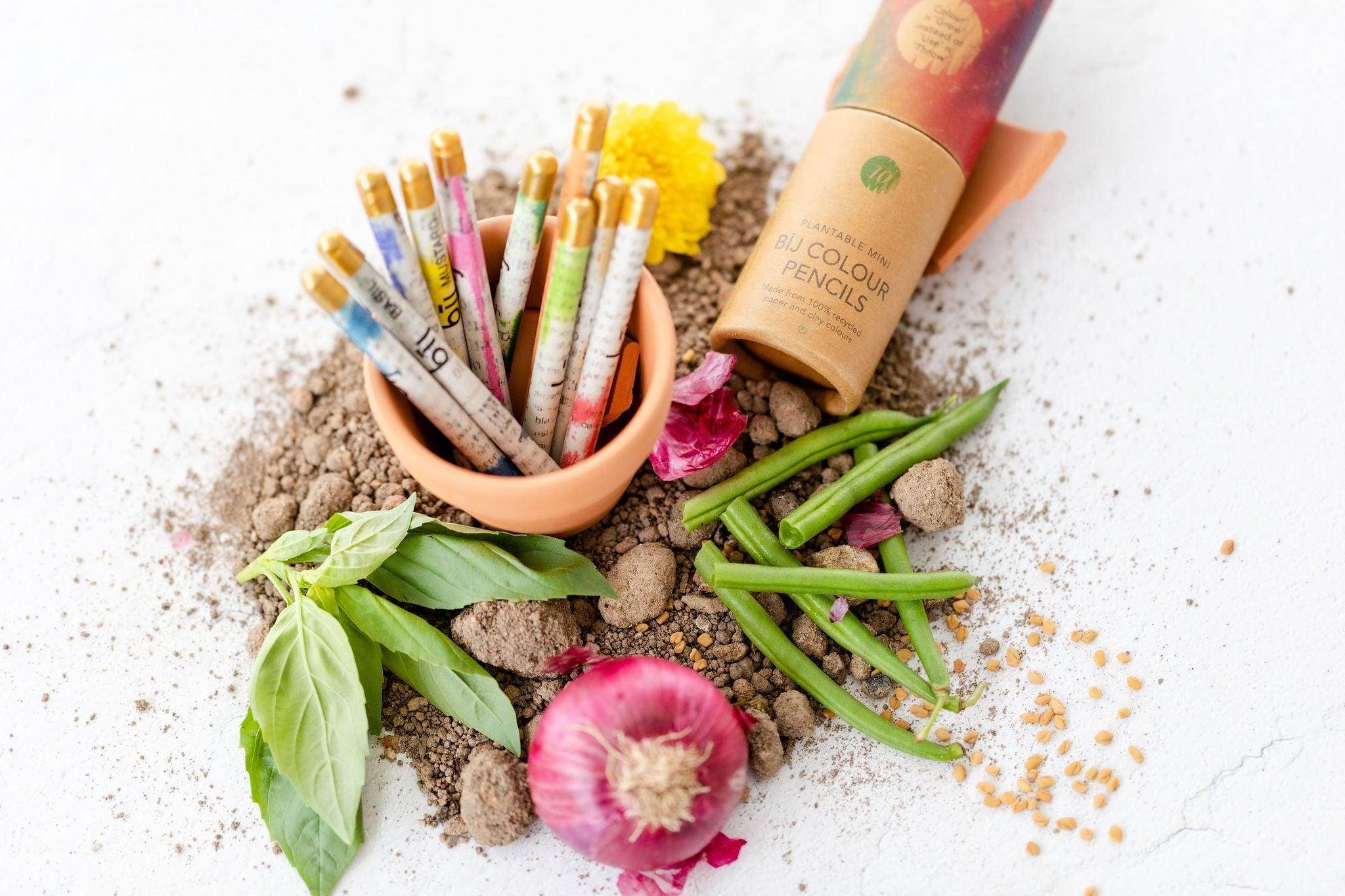 Why You Should Buy Plantable Pens for Your Office