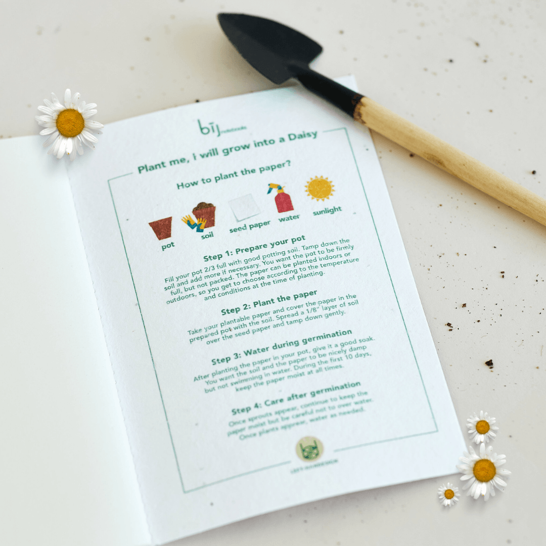 BĪJ Notebook - Reef - LEFT-HANDESIGN®