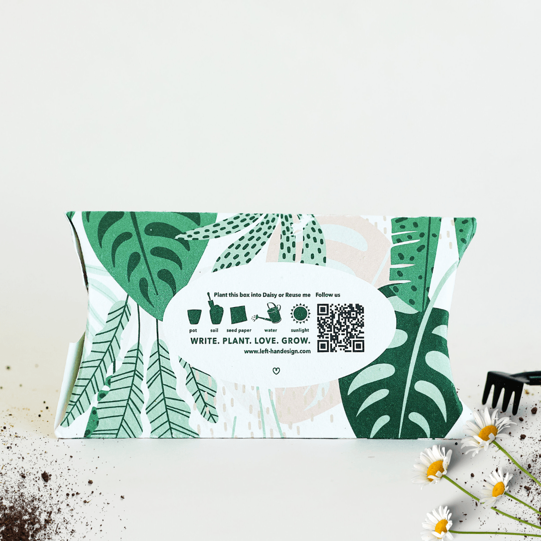 BĪJ Greeting Cards - Set of 5 - LEFT-HANDESIGN®