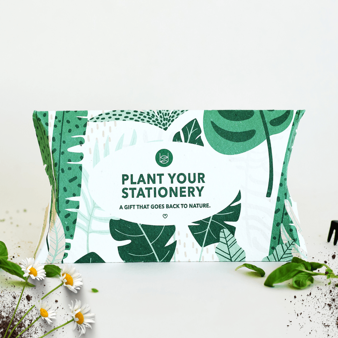 BĪJ Greeting Cards - Set of 5 - LEFT-HANDESIGN®