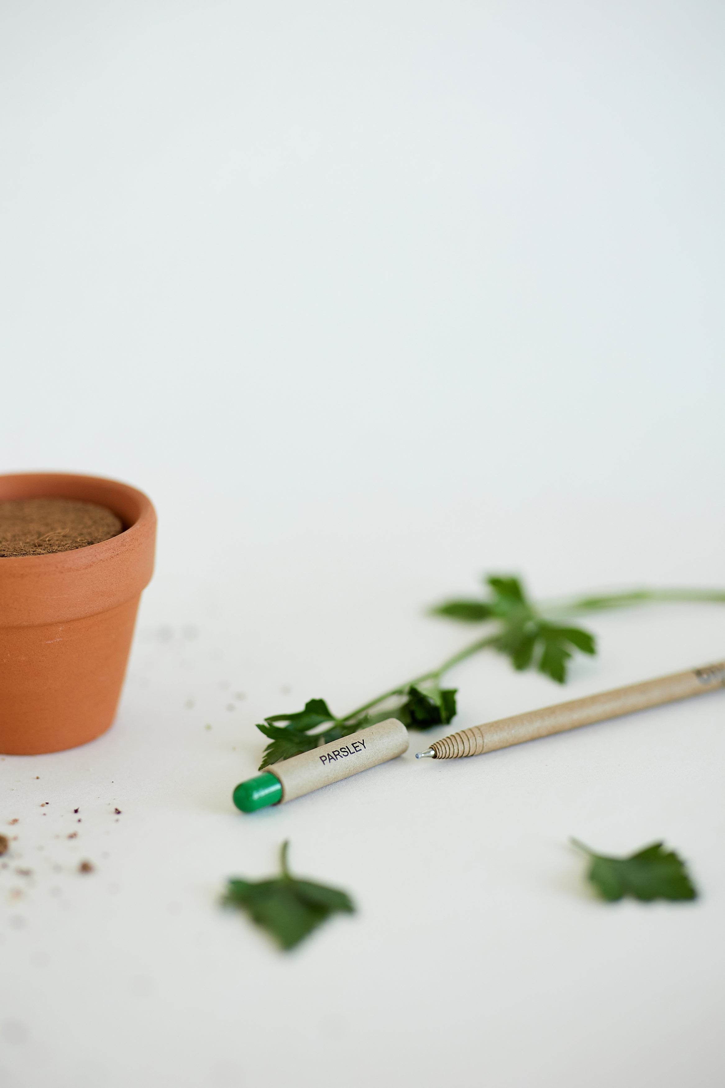 BĪJ Pens - Parsley - LEFT-HANDESIGN®