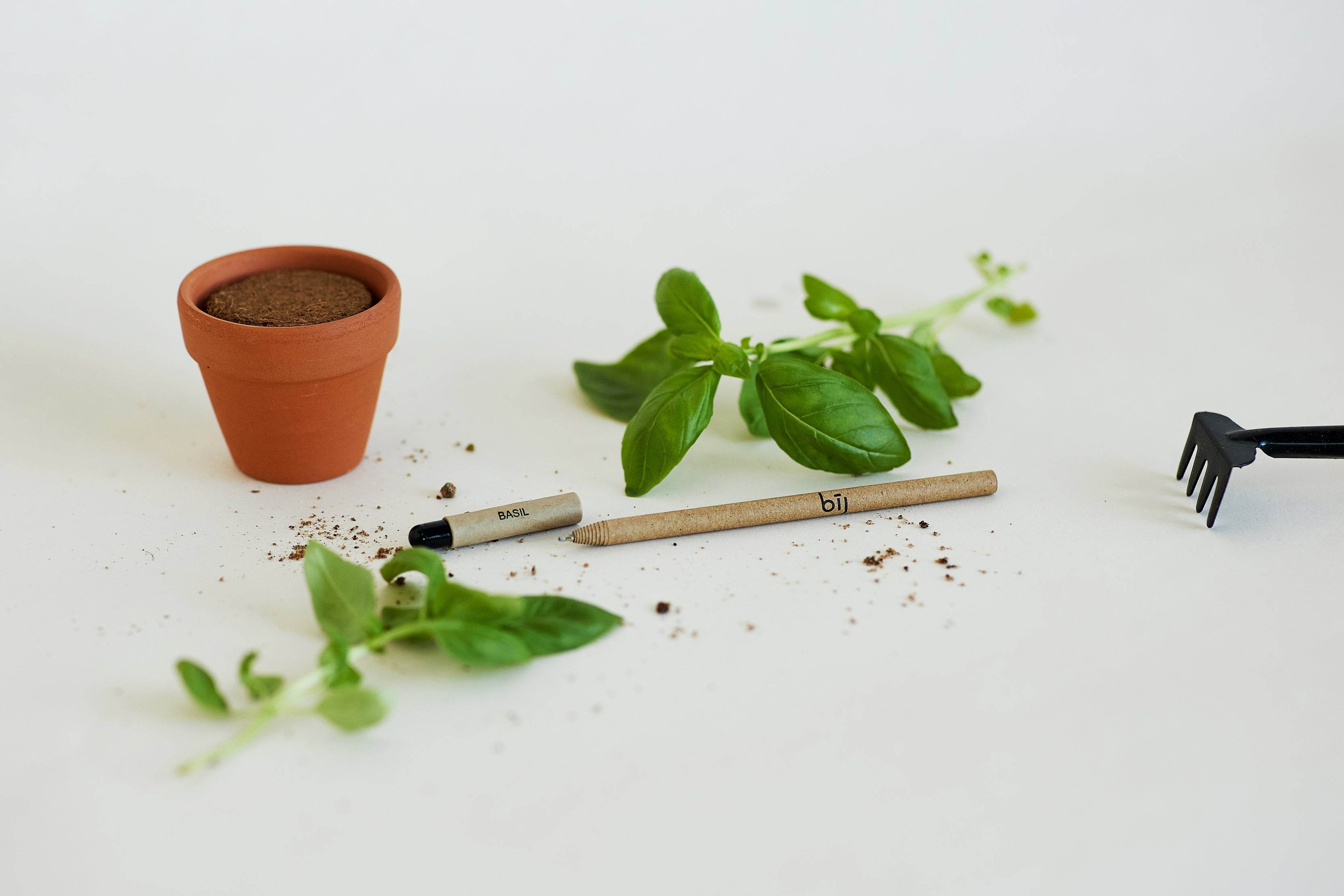 BĪJ Pens - Basil - LEFT-HANDESIGN®