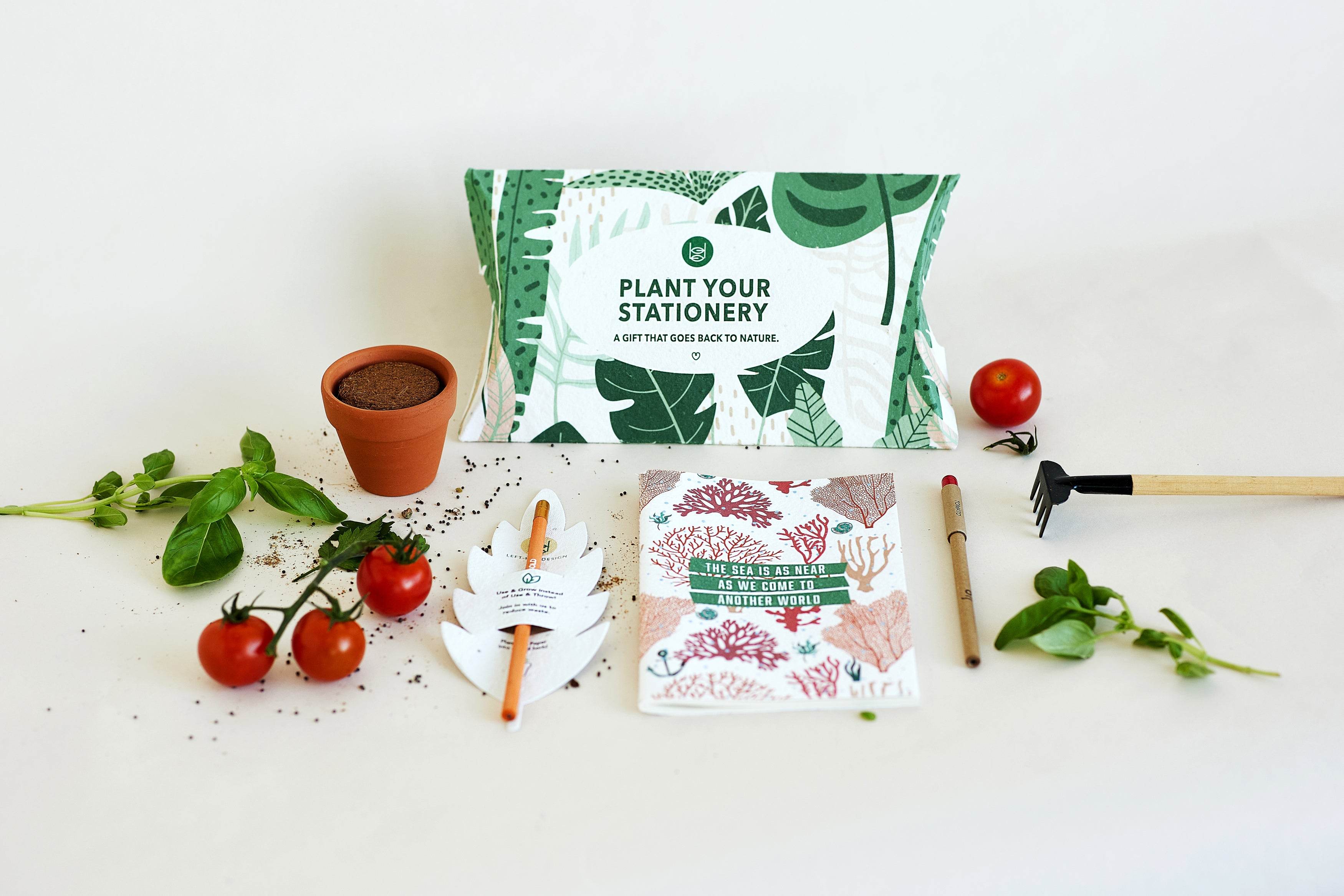 Pillow Box with BĪJ Notebook, Pen & Pencil - LEFT-HANDESIGN®