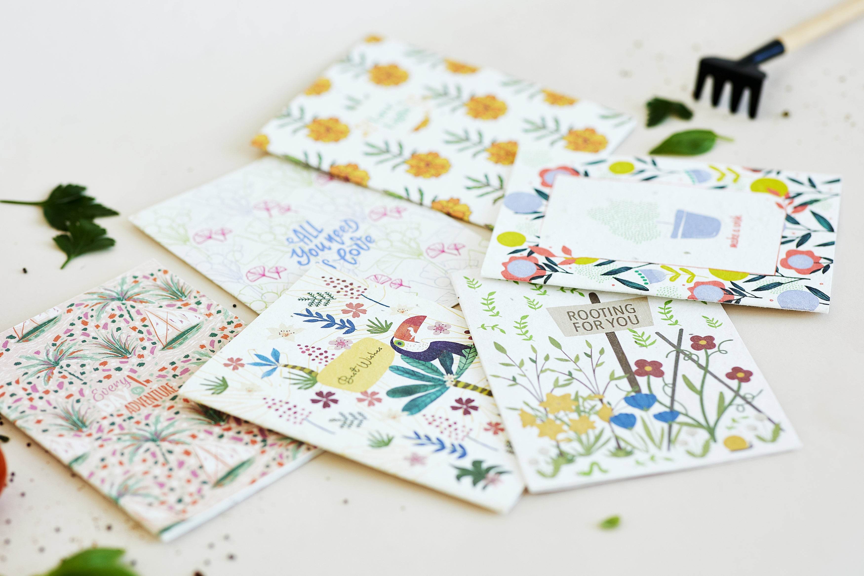 BĪJ Greeting Cards - Set of 5 - LEFT-HANDESIGN®