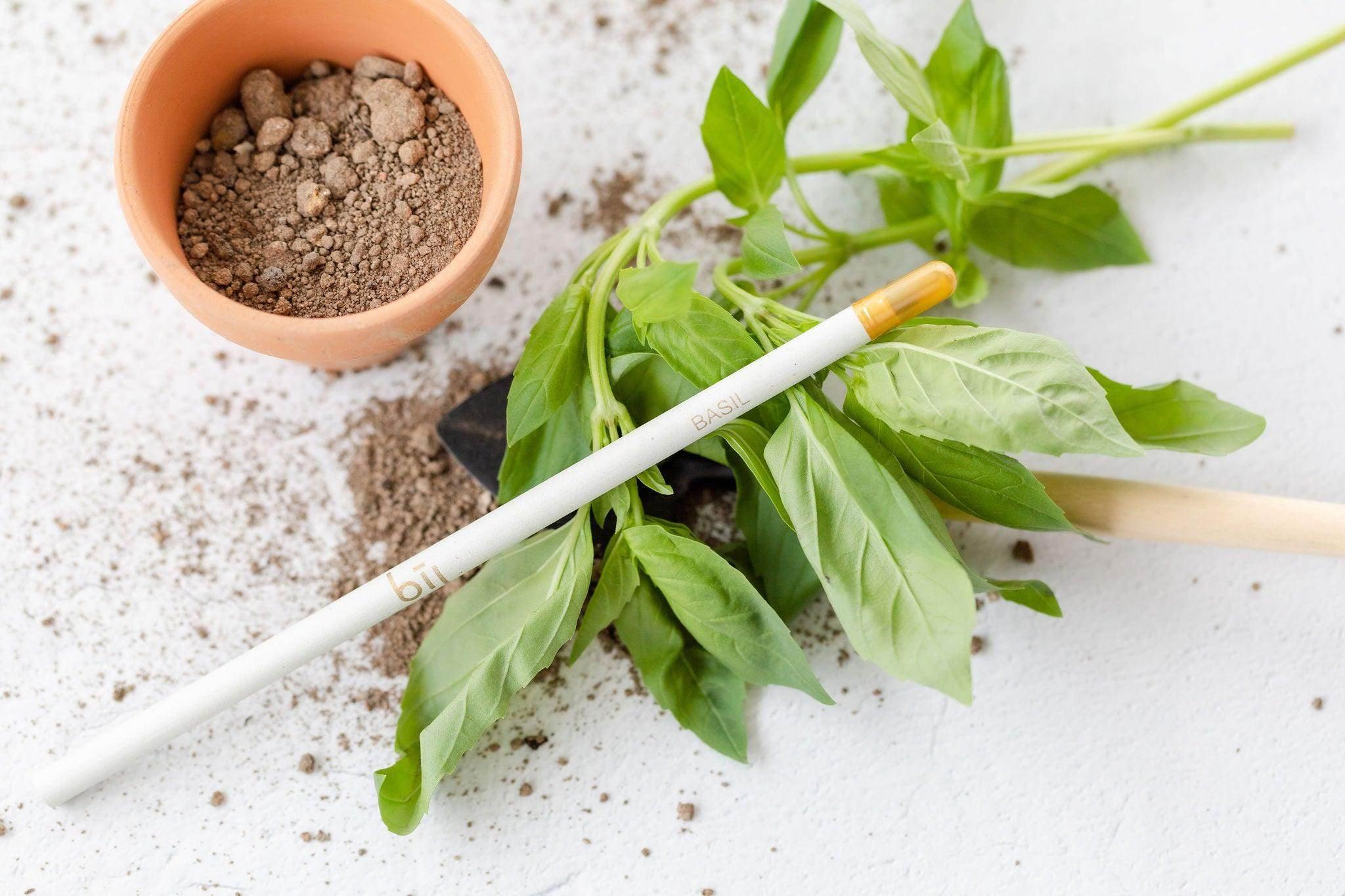 BĪJ Pencil - Basil - LEFT-HANDESIGN®