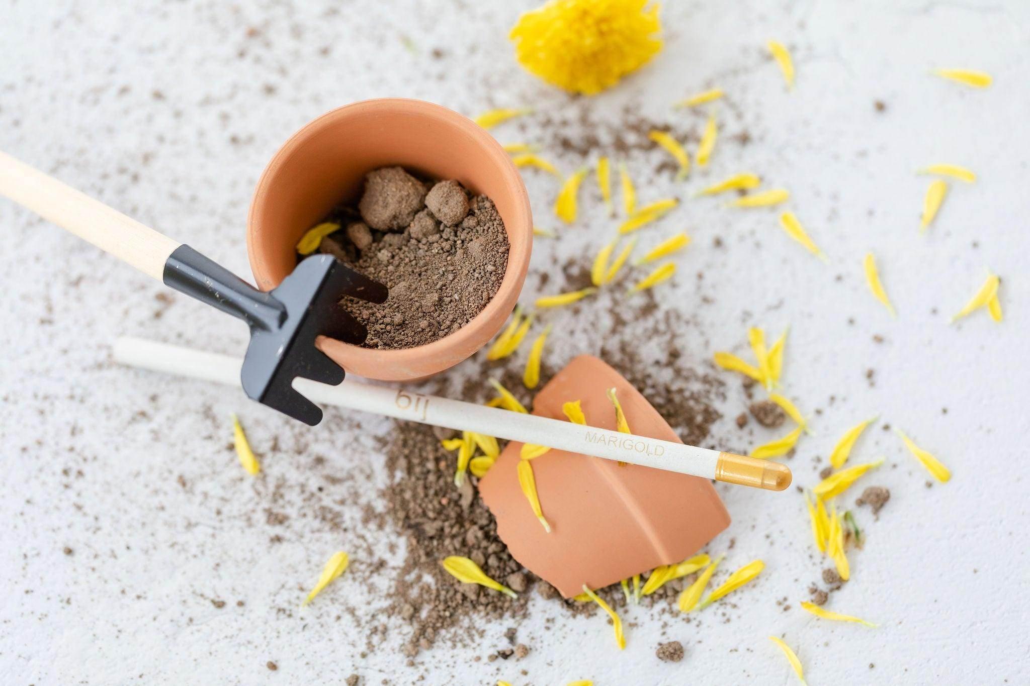 BĪJ Pencil - Marigold - LEFT-HANDESIGN®