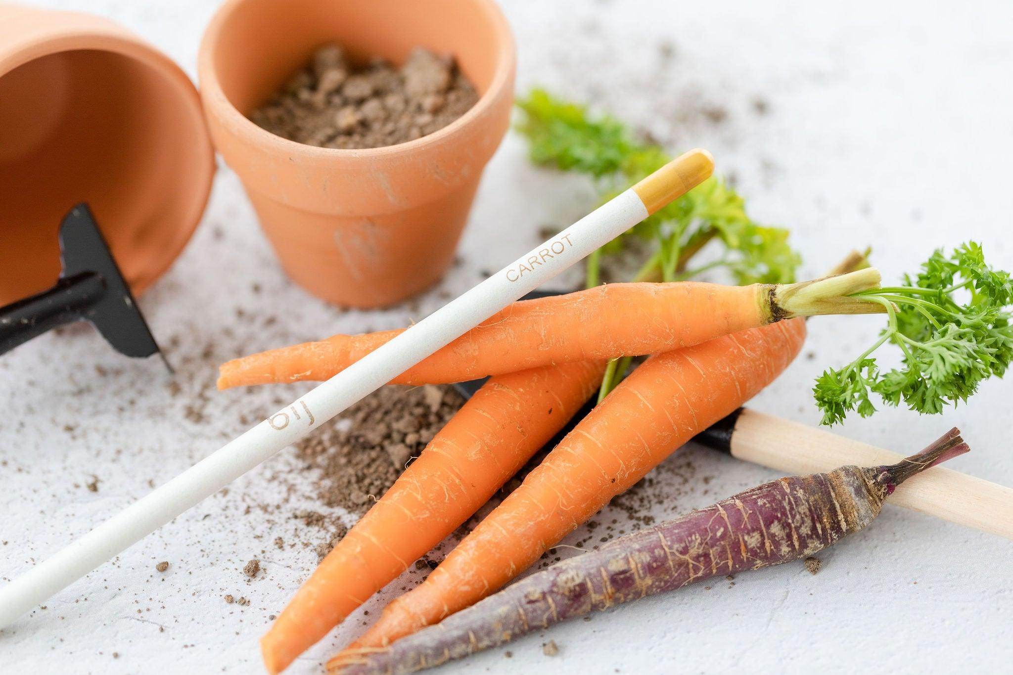 BĪJ Pencil - Carrot - LEFT-HANDESIGN®