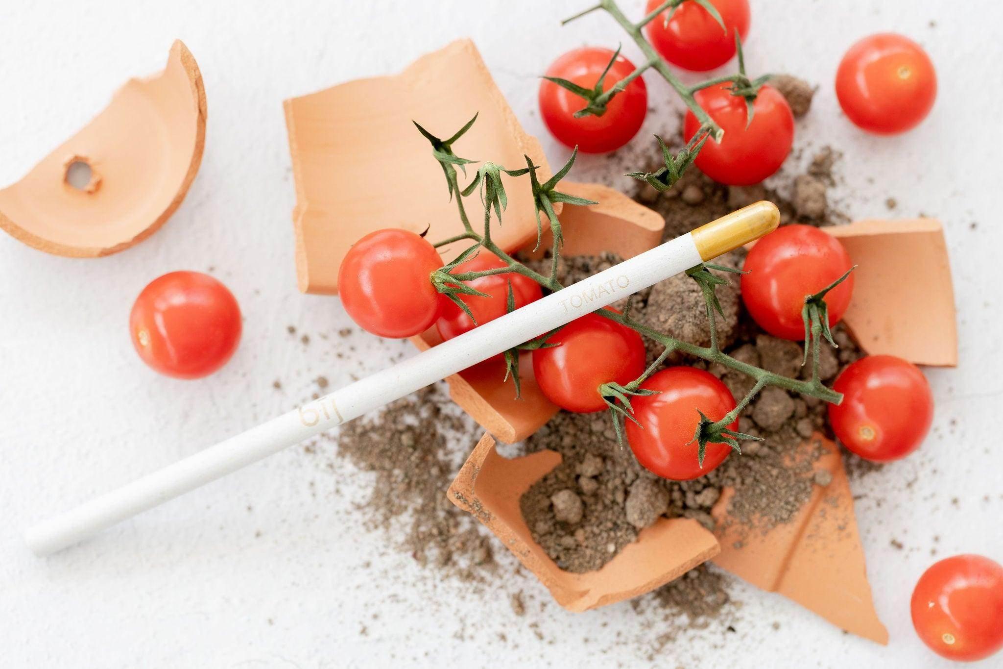 BĪJ Pencil - Tomato - LEFT-HANDESIGN®