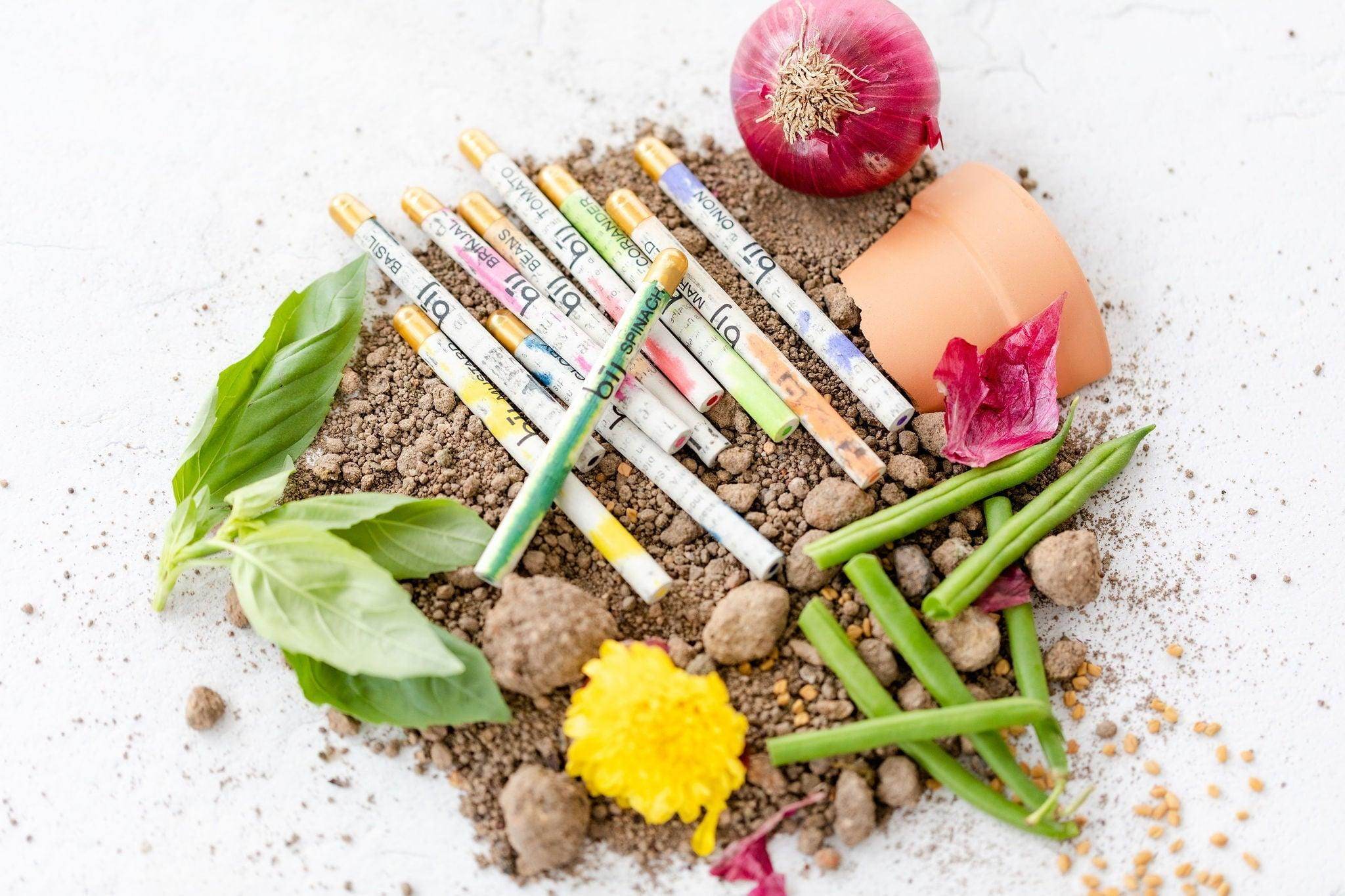 BĪJ Colour Pencils & Notebook Set - LEFT-HANDESIGN®