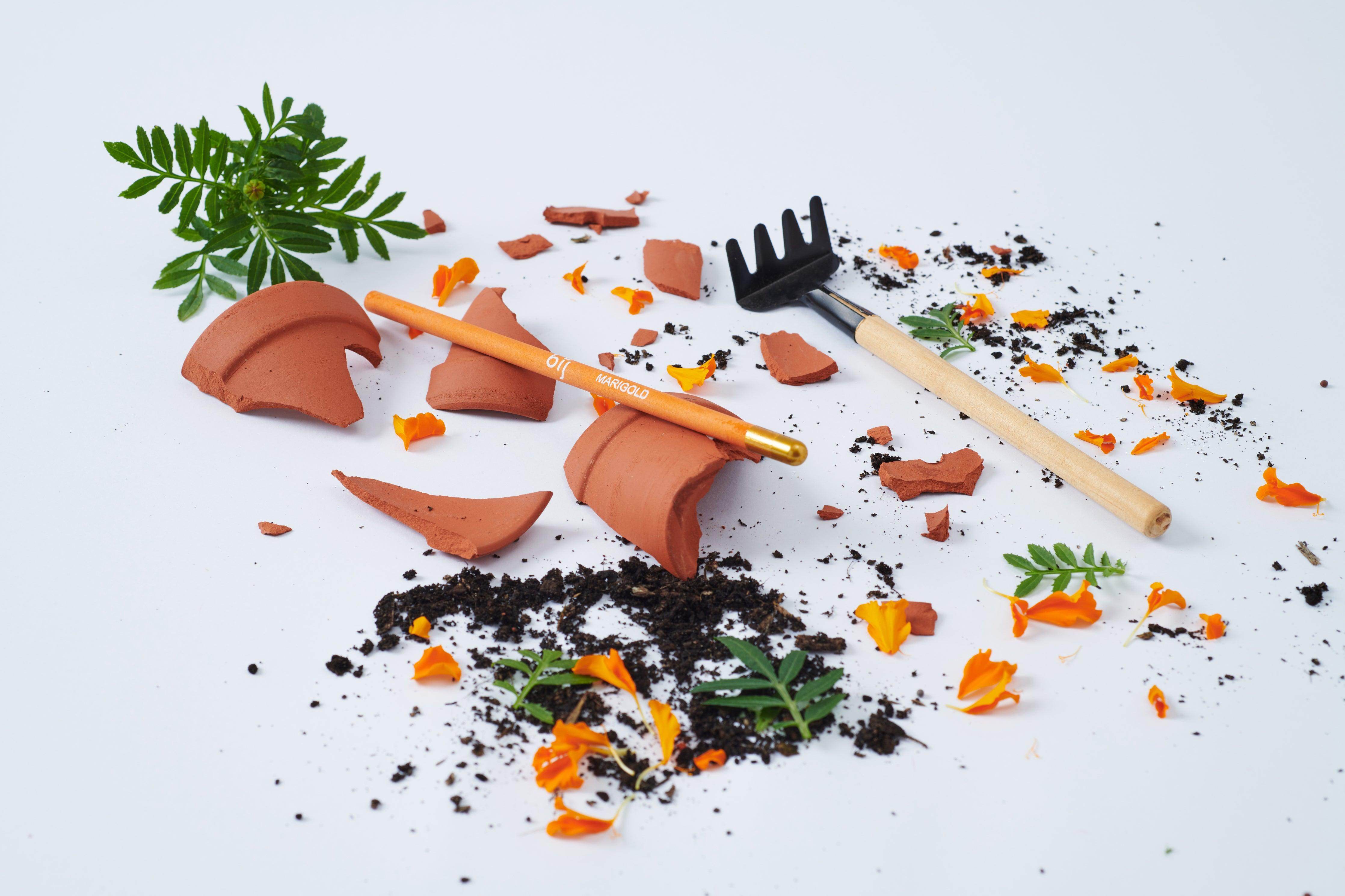 BĪJ Pencils - Set of 5 - LEFT-HANDESIGN®