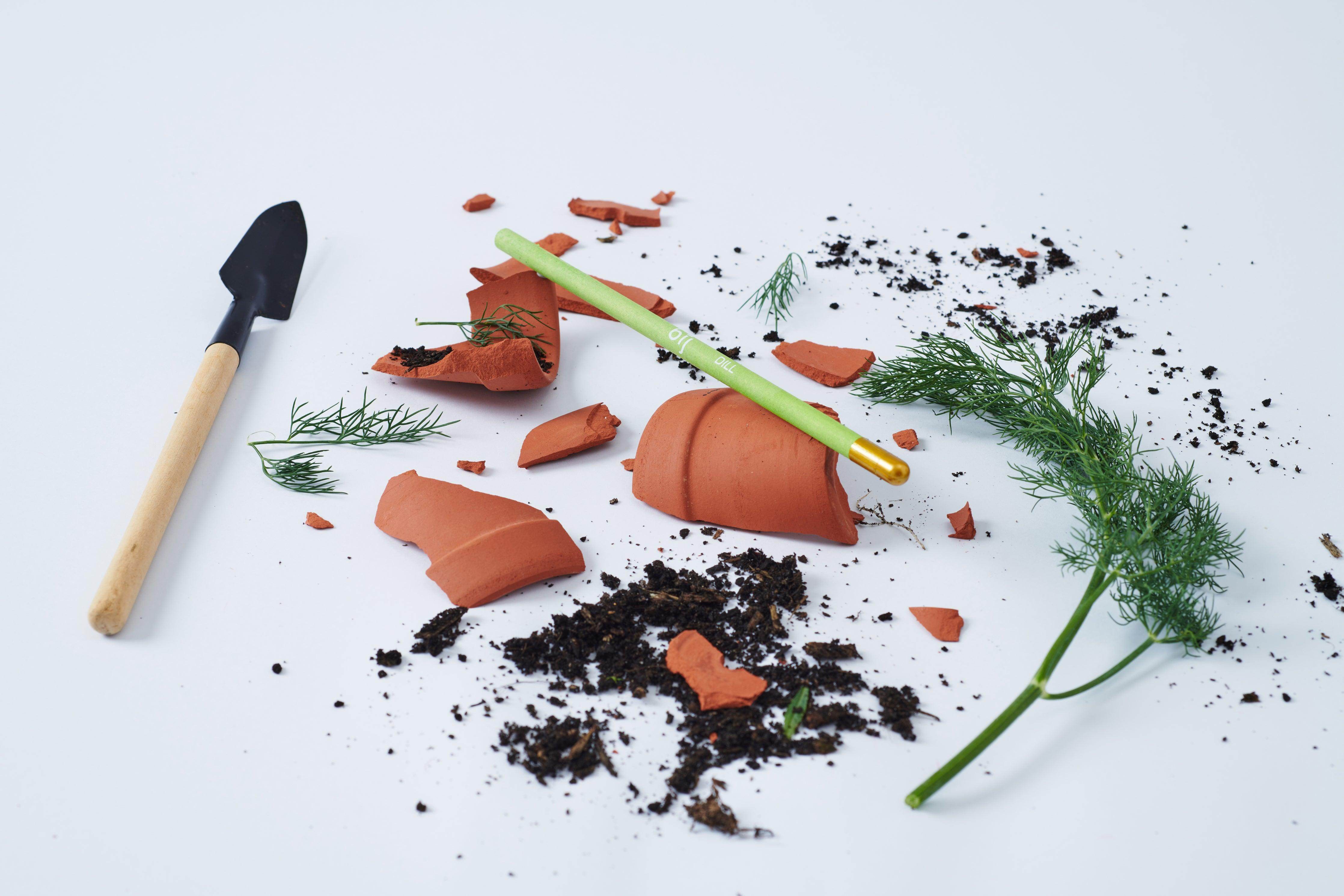 BĪJ Pencils - Set of 5 - LEFT-HANDESIGN®