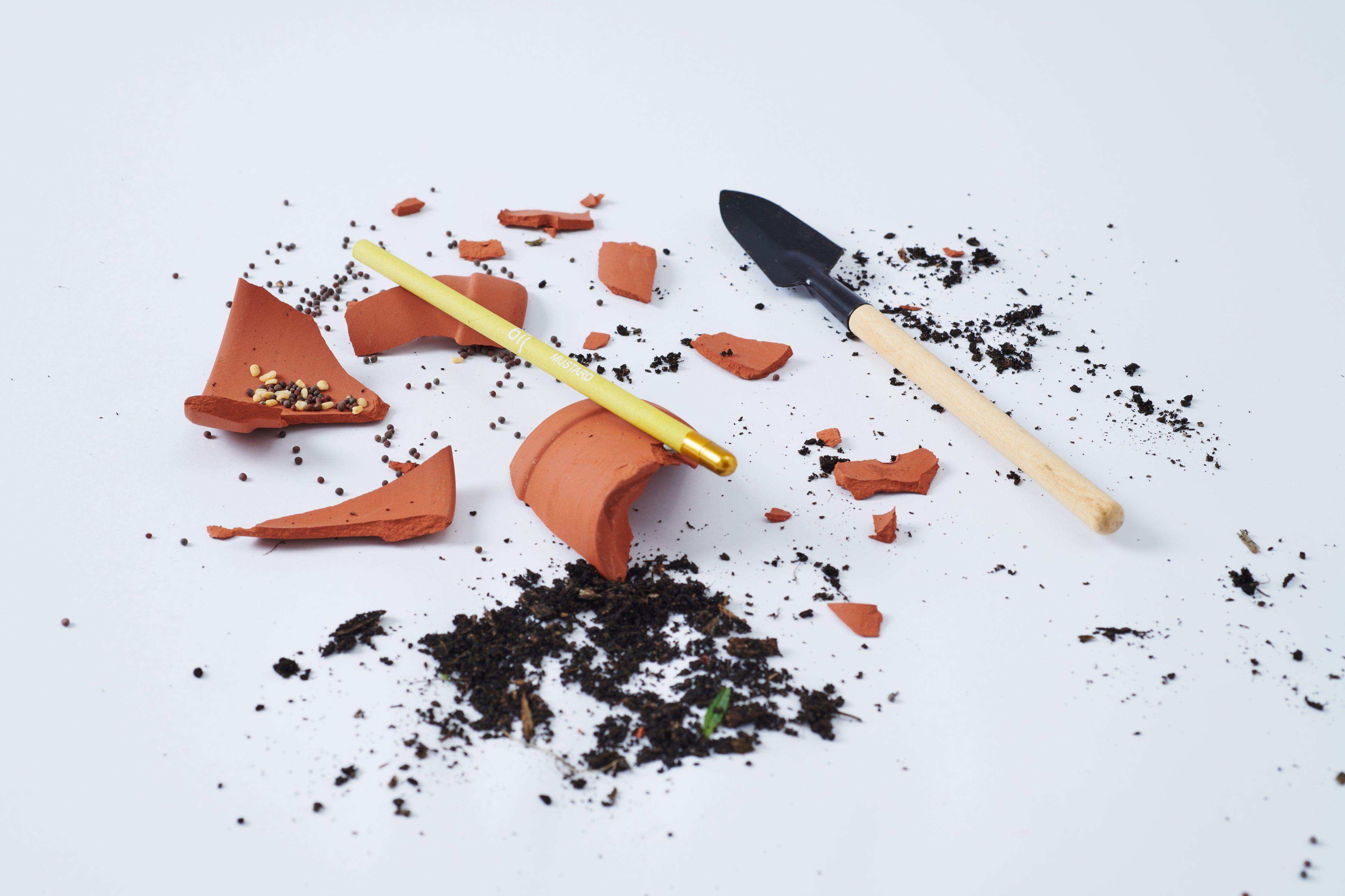 BĪJ Pencils - Set of 5 - LEFT-HANDESIGN®