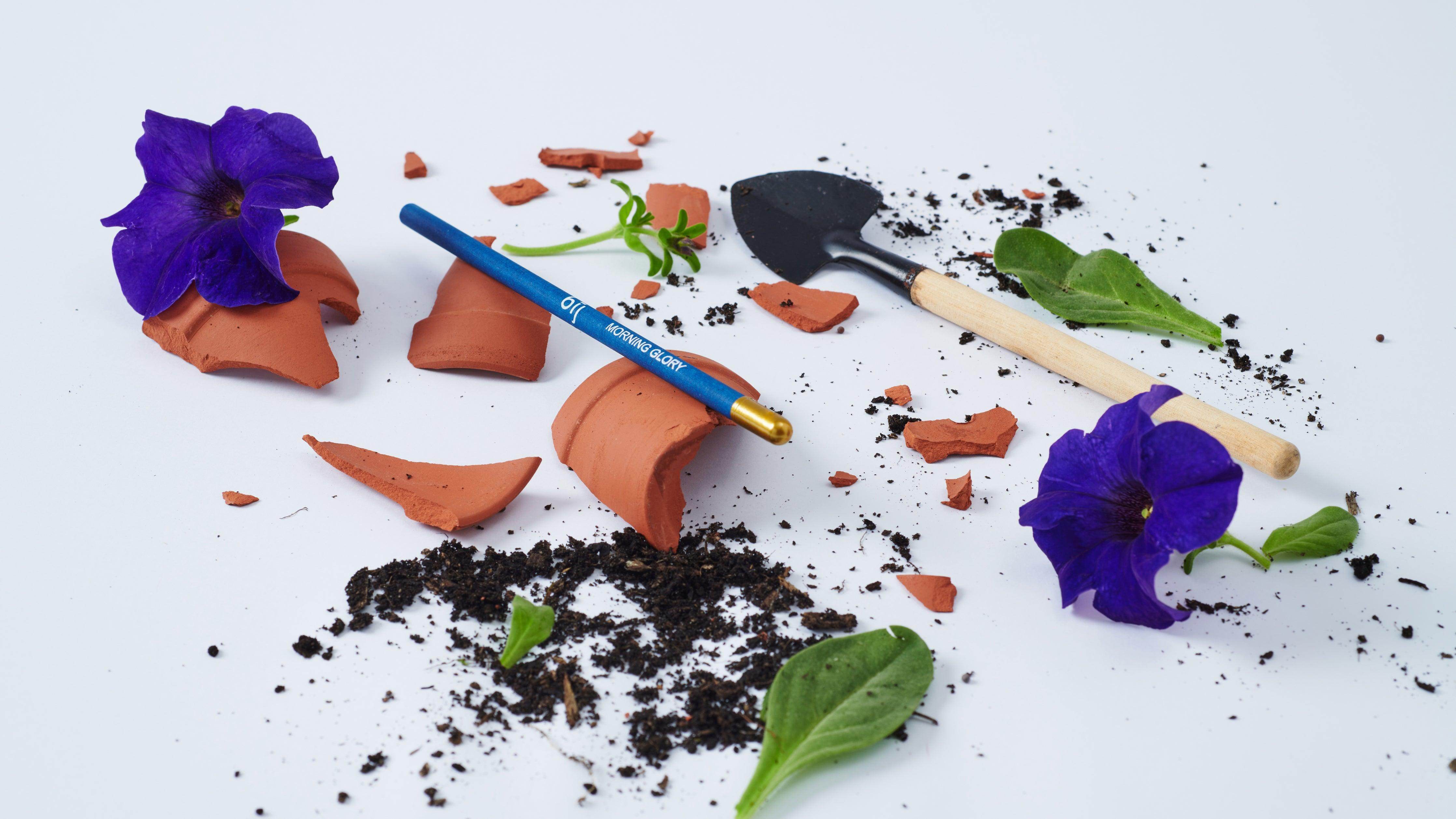 BĪJ Pencils - Set of 5 - LEFT-HANDESIGN®