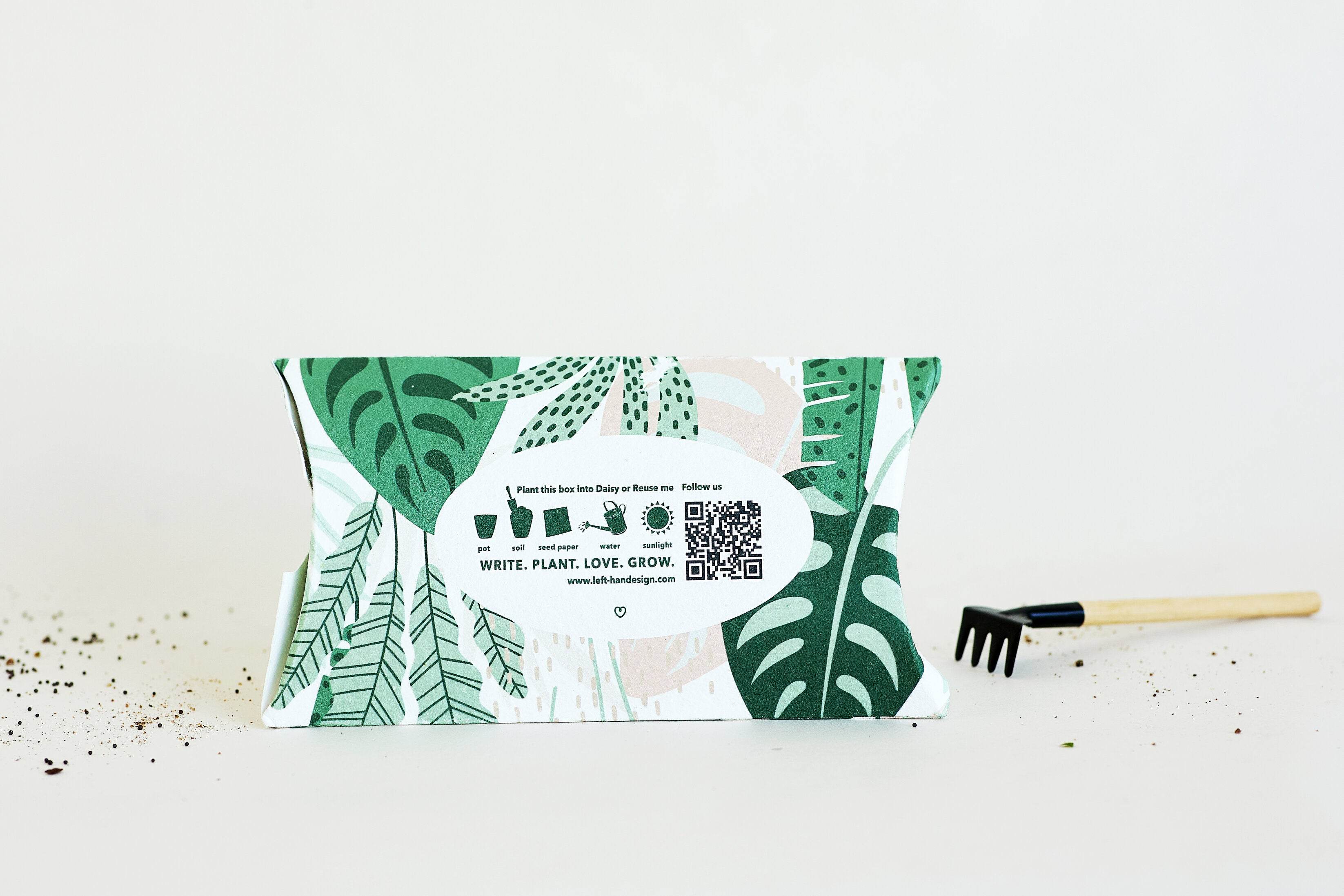 Pillow Box with BĪJ Notebook, Pen & Pencil - LEFT-HANDESIGN®