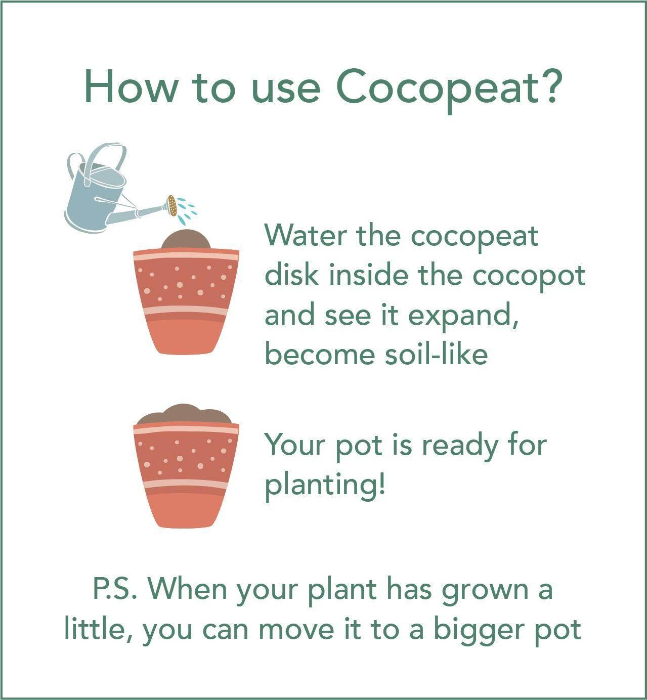 Coco Pot + Coco Peat - LEFT-HANDESIGN®