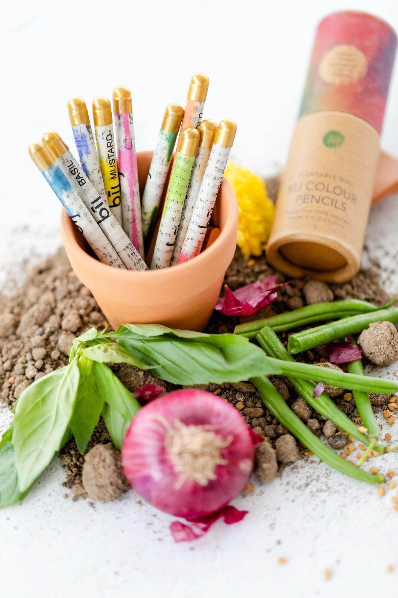 BĪJ Mini Colour Pencils - LEFT-HANDESIGN®