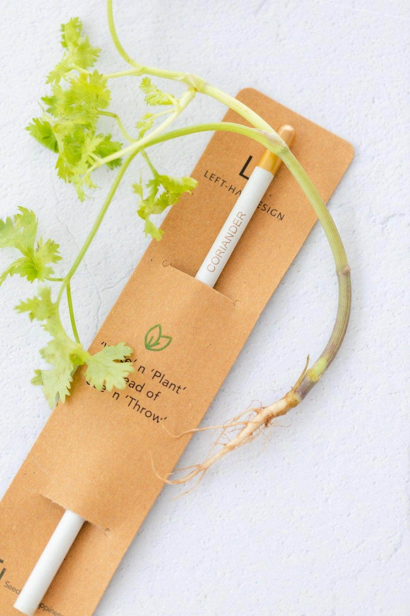 BĪJ Pencil - Coriander - LEFT-HANDESIGN®