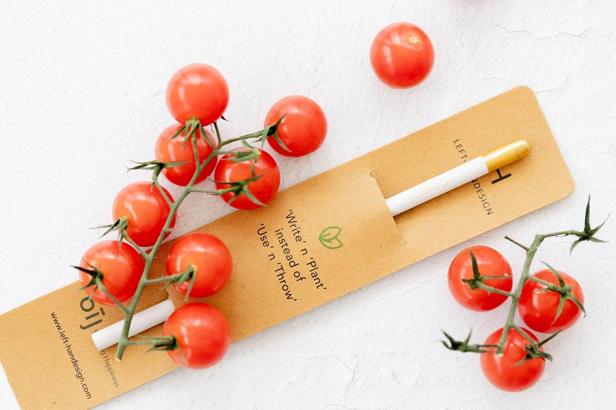 BĪJ Pencil - Tomato - LEFT-HANDESIGN®