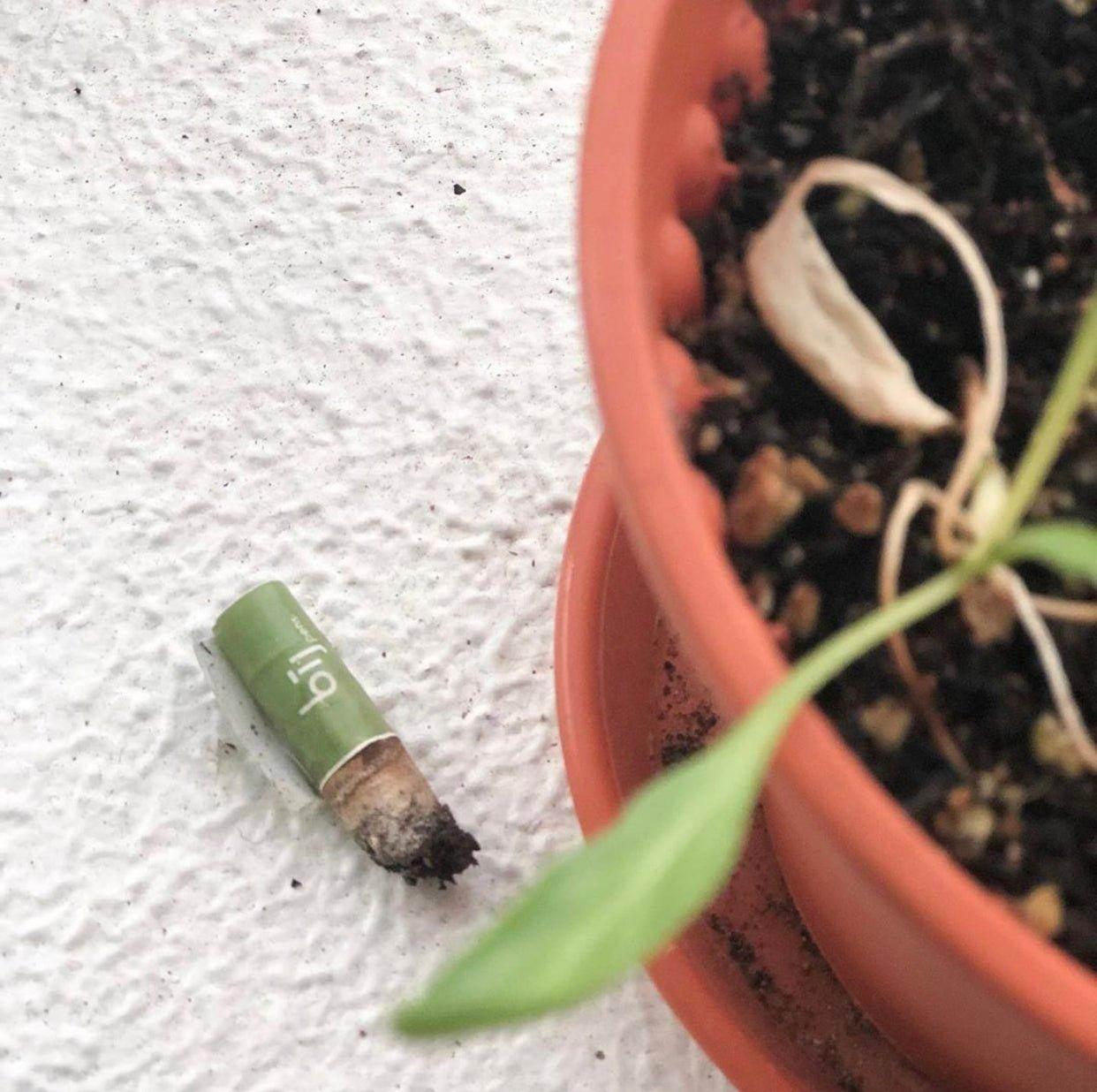 BĪJ Pens - Morning Glory - LEFT-HANDESIGN®