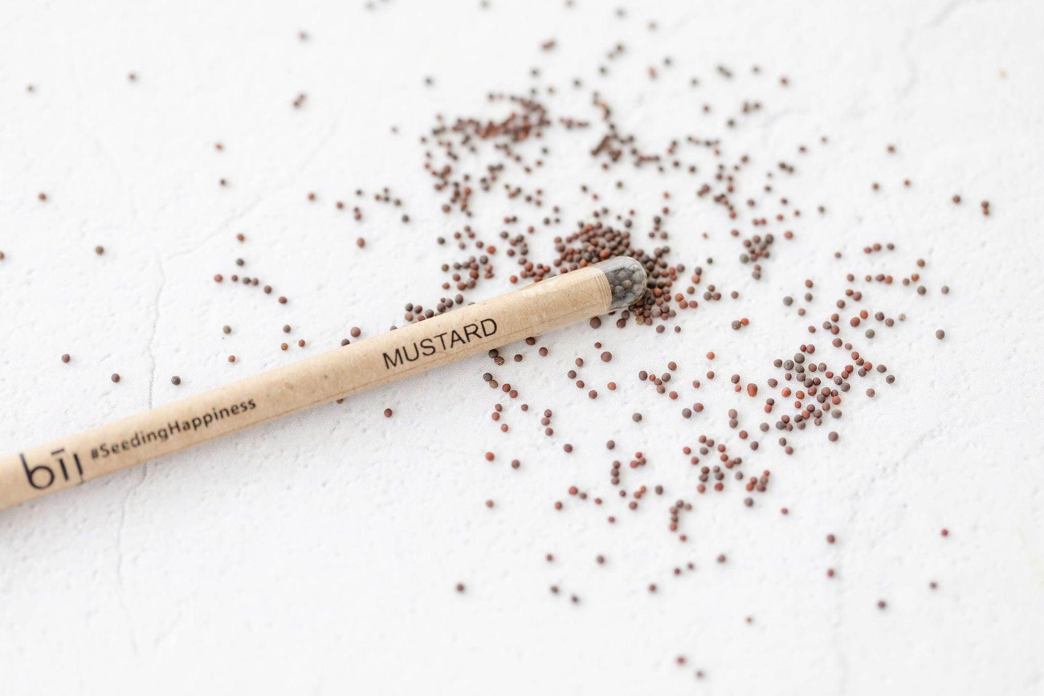 BĪJ Pens - Mustard - LEFT-HANDESIGN®