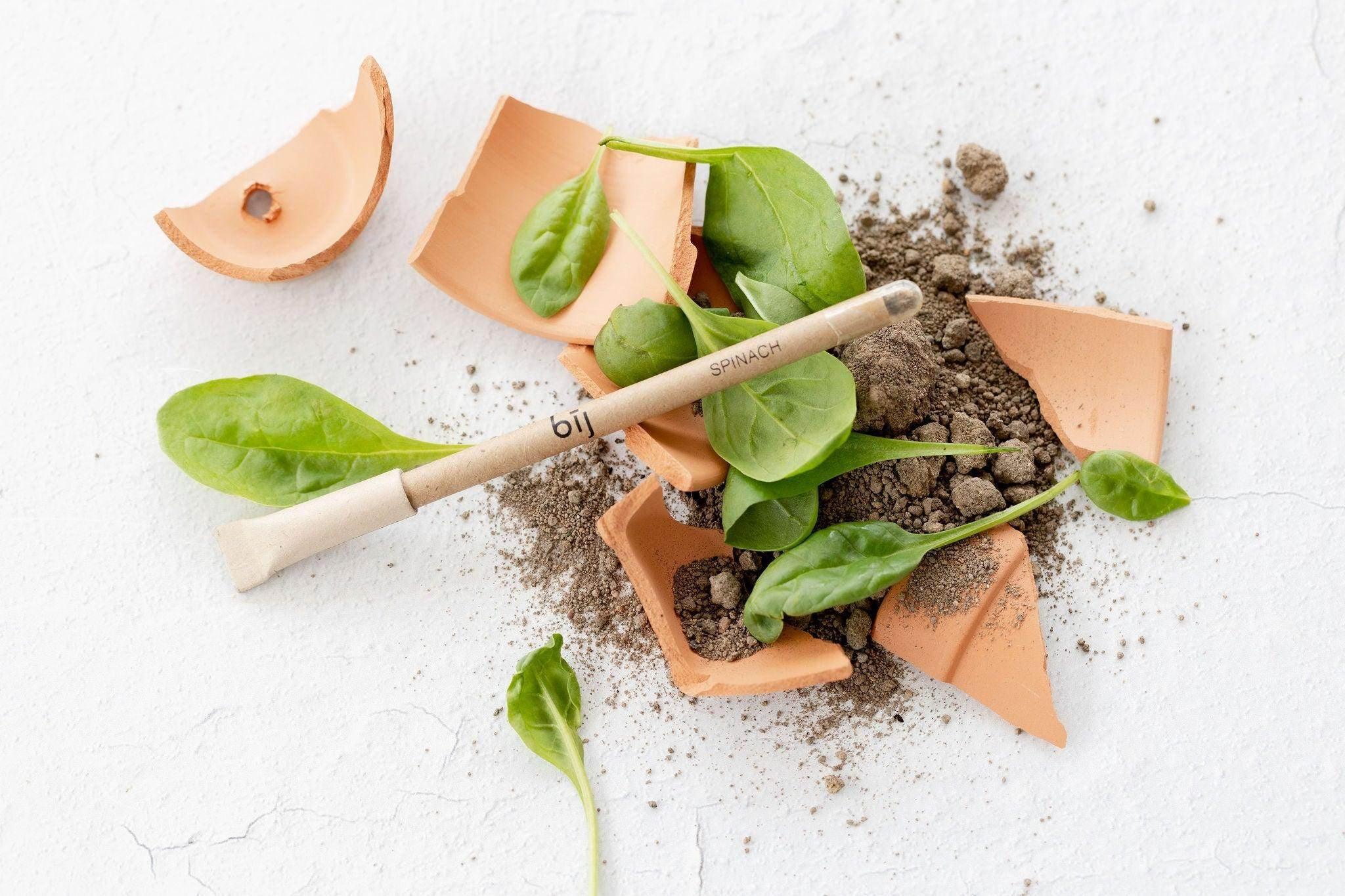 BĪJ Pens - Spinach - LEFT-HANDESIGN®