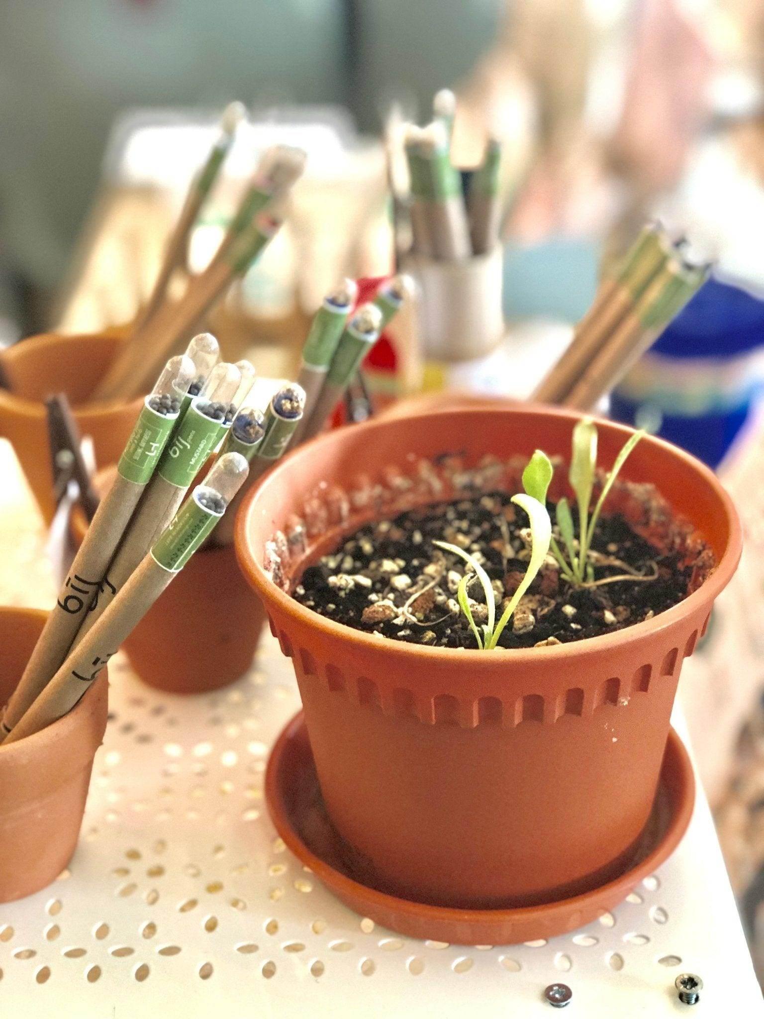 BĪJ Pens - Spinach - LEFT-HANDESIGN®