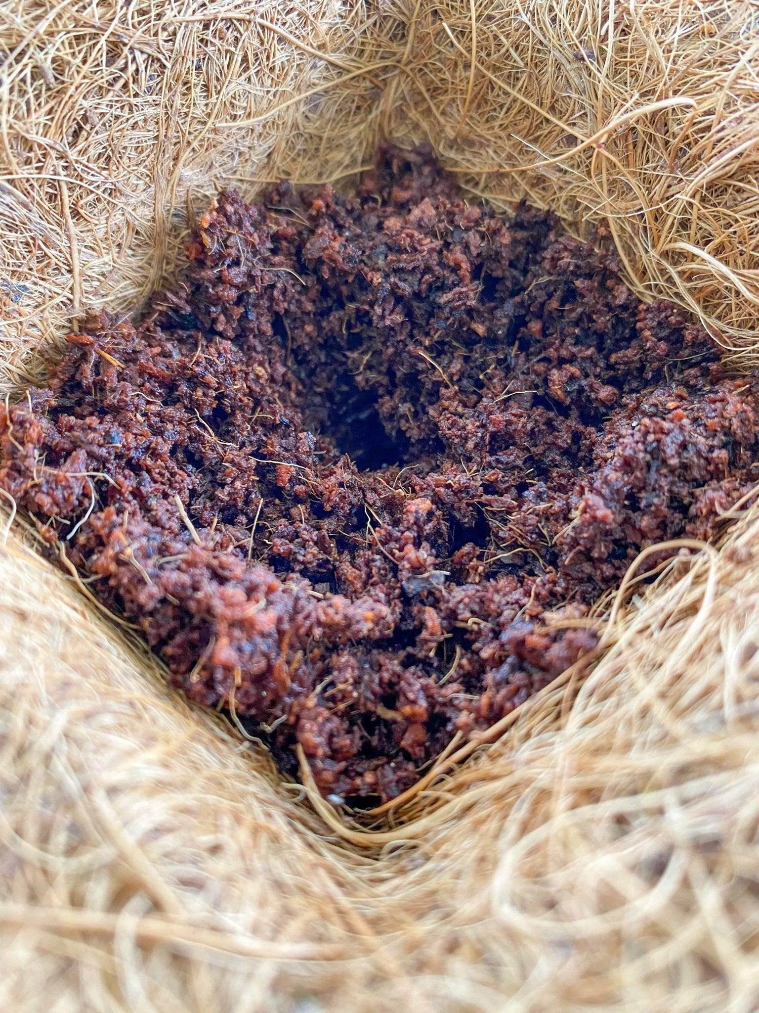 Coco Pot + Coco Peat - LEFT-HANDESIGN®