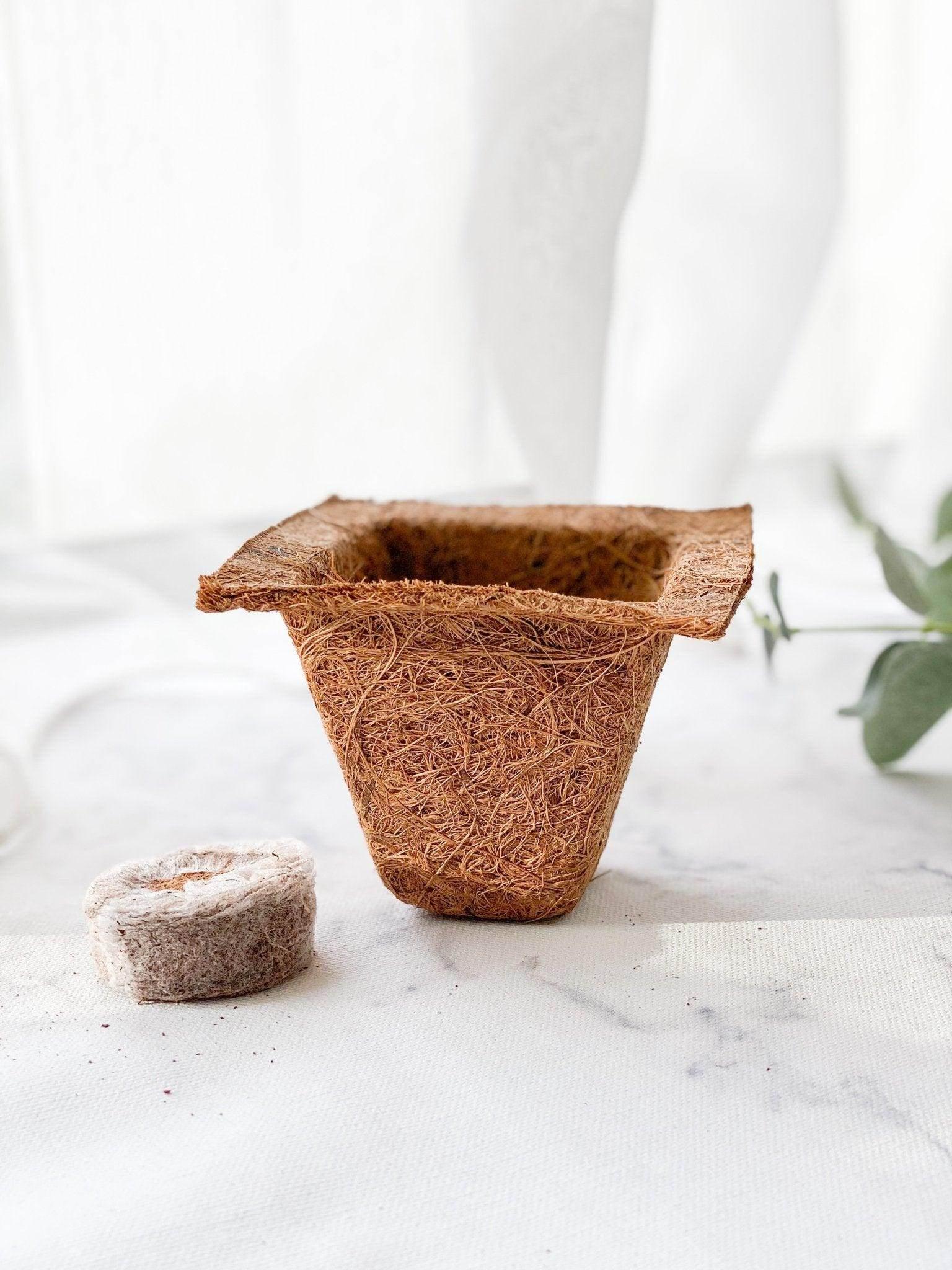 Coco Pot + Coco Peat - LEFT-HANDESIGN®