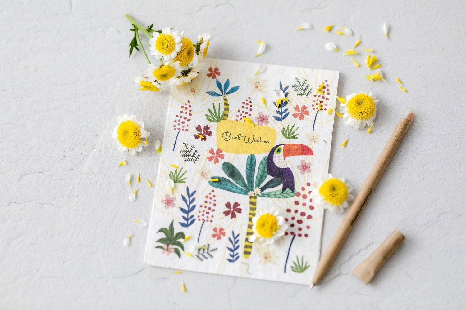 The Ultimate Guide to Plantable Notebooks and Pencils