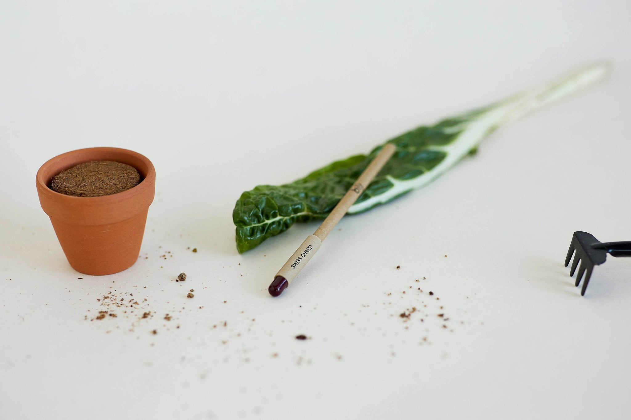 BĪJ Pens - Swiss Chard