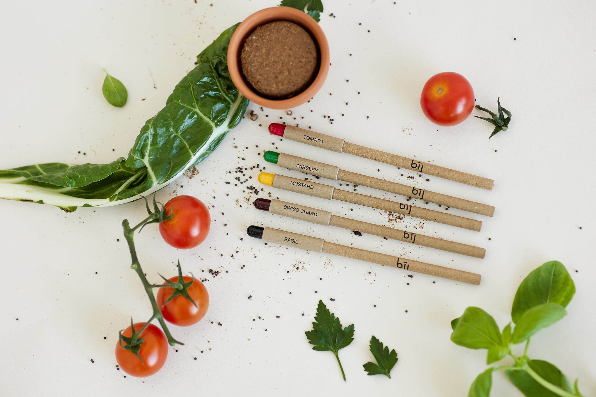 BĪJ Pens - Set of 4